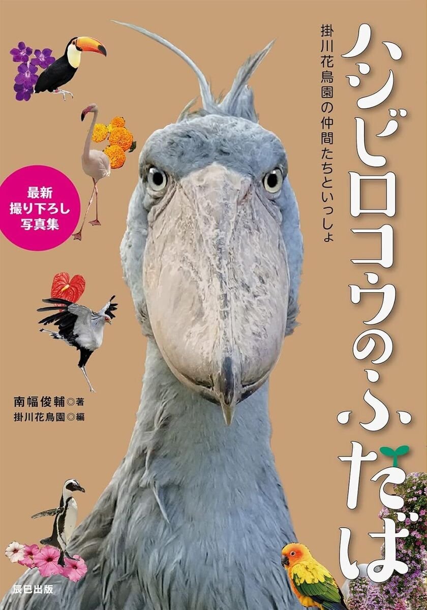 🦜 가케가와 화조원(카케가와 카초엔) 이미지 8